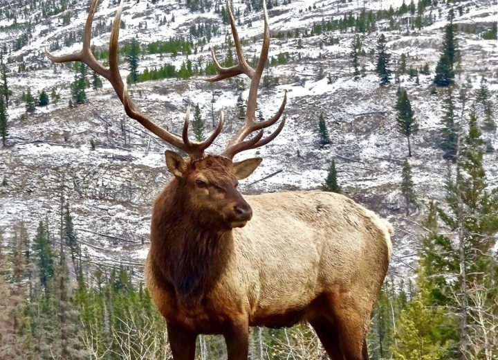 elk_1791368066048_ODfj_1791368066229_6Y1u_669fd6ea-9be5-45b7-8ff6-7eab6f9d8ce5_E4Df
